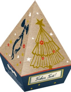 Coffret cadeau pyramide de thés noirs – Arbre de Noël
